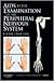 Aids to the Examination of the Peripheral Nervous System by Michael     O'Brien