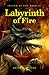 Labyrinth of Fire (Island of Fog, #2)