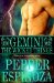 Gemini: The Wicked Things (Boys of the Zodiac #3)