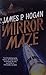The Mirror Maze
