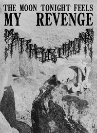 The Moon Tonight Feels My Revenge (Paperback)