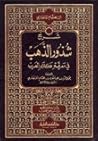 شرح شذور الذهب في...