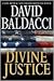 Divine Justice (Camel Club, #4)