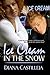 Ice Cream In The Snow