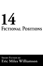 14 Fictional Positions (Paperback)