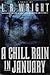 A Chill Rain in January