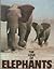 The Love Of Elephants
