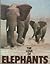 The Love Of Elephants by Neil Murray