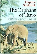 The Orphans of Tsavo
