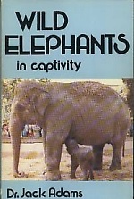 Wild Elephants in Captivity