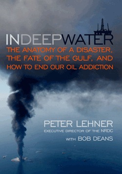 In Deep Water: The Anatomy of a Disaster, the Fate of the Gulf, and How to End Our Oil Addiction
