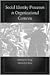 Social Identity Processes in Organizational Contexts by Michael A. Hogg
