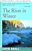 The River in Winter