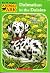 Dalmatian in the Daisies (A...