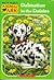 Dalmatian in the Daisies (Animal Ark: Holiday Special, #21)