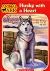 Husky with a Heart