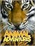 Animal Adventures