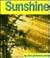 Sunshine (Pebble Books)