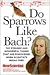 Do Sparrows Like Bach?: The Strange and Wonderful Things that Are Discovered When Scientists Break Free