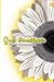 Grey Sunflower