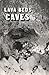 Lava Beds Caves