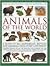 The Illustrated Encyclopedia of Animals of the World: An expert reference guide to 840 amphibians, reptiles and mammals from every continent