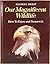 Our Magnificent Wildlife: H...
