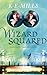 Wizard Squared (Rogue Agent, #3)