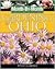 Month By Month Gardening In Ohio (MONTH BY MONTY GARDENING)