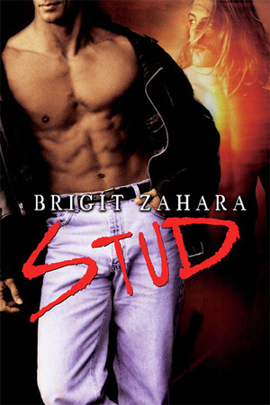 Stud (Kindle Edition)