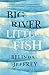Big River Little Fish