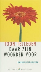 Daar zijn woorden voor. Een keuze uit de gedichten (Hardcover)