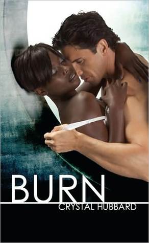 Burn (Paperback)