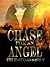 Chase for an Angel