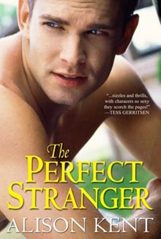 The Perfect Stranger (Smithson Group Companion #1)