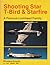 Shooting Star, T-Bird & Starfire: A famous Lockheed family