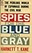Spies for the Blue and Gray.