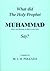 What did the Holy Prophet M...