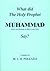What did the Holy Prophet Muhammad salla Llahu 'alayhi wa sallam say?