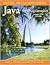 Java for Programmers