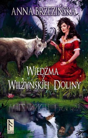 Wiedźma z Wilżyńskiej Doliny (Wilżyńska Dolina, #2)