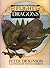 The Flight of Dragons