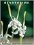 Dendrobium and Its Relatives