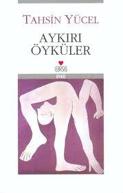 Aykırı Öyküler (Paperback)