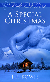 A Special Christmas (ebook)