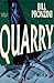 Quarry (Nameless Detective, #19)