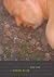 I Looked Alive (Expanded Edition)