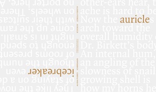 Auricle / Icebreaker (Paperback)