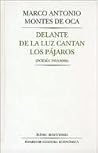 Delante de la luz...