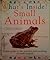 What's Inside? Small Animals: A First Guide to the Wonders and Workings of Small Animals